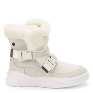 Pajar winter book new